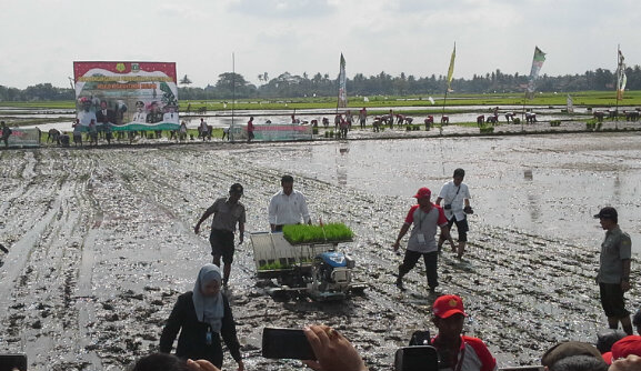 Mentan Canangkan Tanam Padi Serempak di 500 Kabupaten